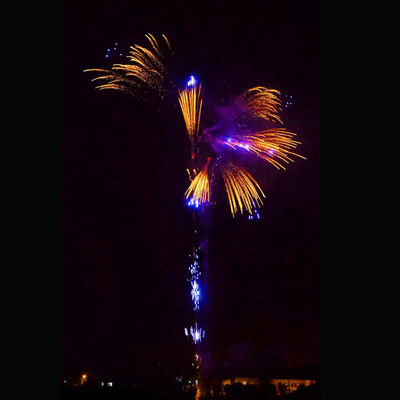 352 pétards pyrotechniques de feux d'artifice adaptés aux besoins du client par tirs de nouvelle année grands durcissent des pétards pour la célébration
