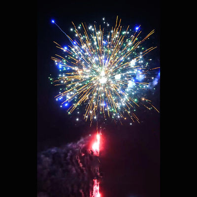Feux d'artifice extérieurs chinois de gâteau de salut de pyrotechnie de feux d'artifice de gâteau de tirs de 2 pouces 49