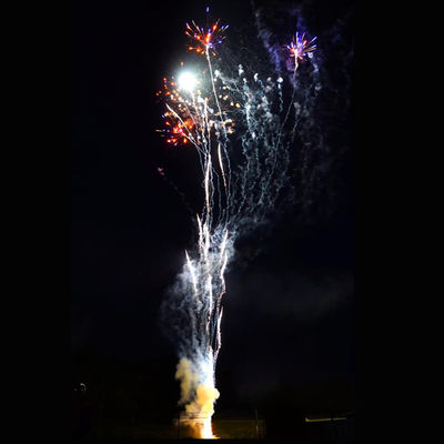 100 feux d'artifice chinois 1.4g Un0336 de gâteau de pyrotechnie de tirs