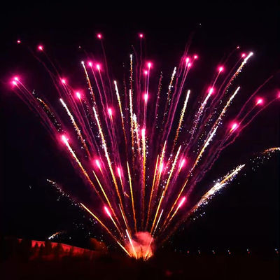 Des feux d'artifice de Liuyang Pyrotechnique Professionnel Display Cake Des feux d'artifice 1,3g