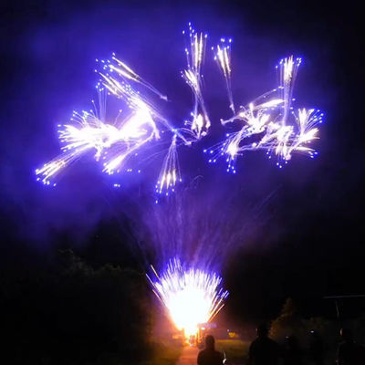 Feux d'artifice en plein air Des feux d'artifice pour les fêtes