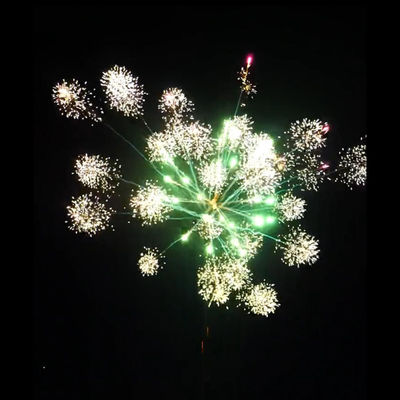 Célébration Des feux d'artifice en plein air Des feux d'artifice en plein air Des pyrotechniques