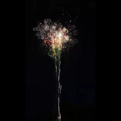 Des feux d'artifice pour célébrer la fête