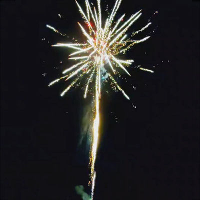 Des feux d'artifice pour célébrer 209 tirs