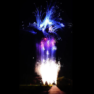 Des feux d'artifice pour le Nouvel An