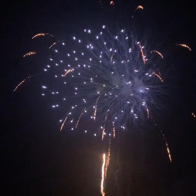 Chinois 25 coups gâteau Feux d'artifice Pyrotechnique Pour les réunions de célébration