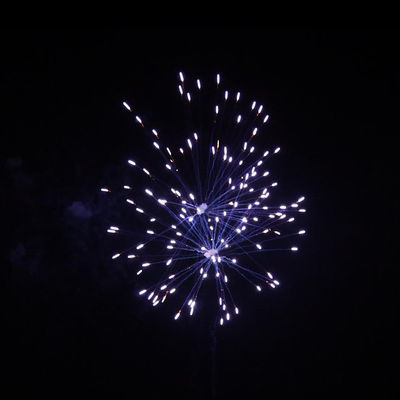 60 coups de feu révèlent le sexe des garçons Feux d'artifice pyrotechnique Feux d'artifice