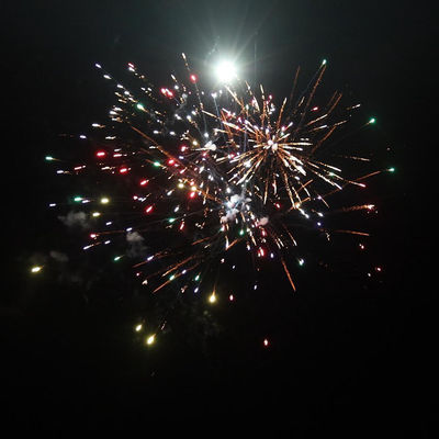 Chine Pyrotechnique 49 coups en gros Bon prix Pour les consommateurs Des gâteaux en plein air Feux d'artifice