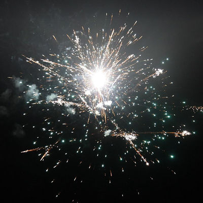 56 coups de feu Des gâteaux de consommation Des feux d'artifice 2024 1,4 g UN0336 Pour la fête