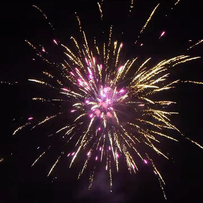 198 photos Feux d'artifice de gâteaux chinois en gros Feux d'artifice extérieurs 2024 Pour la célébration des fêtes