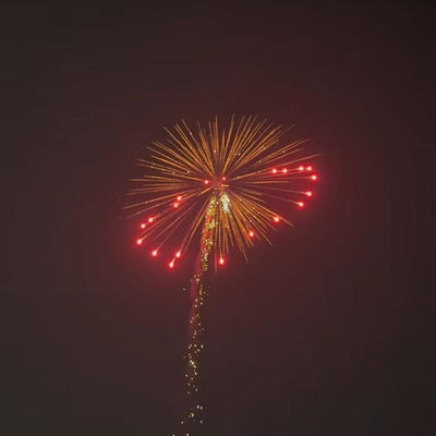 Mandarin Professionnel 1.3g Pyrotechnique Feux d'artifice Artillerie Salut Shell Canister 4 pouces Affichage obus Feux d'artifice