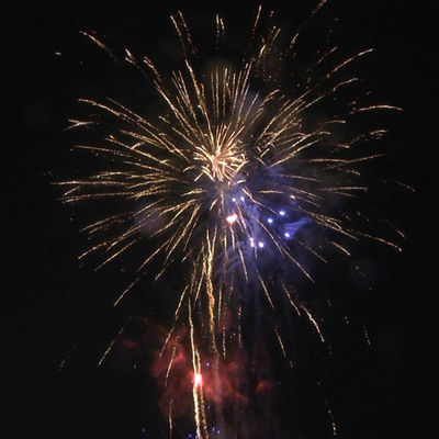 Fabrique chinoise 100 coups gâteau feux d'artifice Pyrotechnique pour le Nouvel An Feux d'artifice 1.3g Un0335 Professionnel gâteau feux d'artifice
