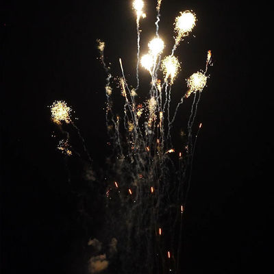 Chinois 1.4 Pro Line Feux d' artifice Mandarin 210 Shots 1000g gâteau pyrotechnique pour le marché américain