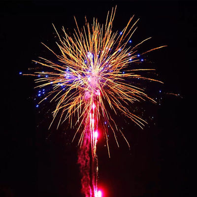 100 coups Feux d'artifice de gâteau Feux d'artifice de gâteau grand Pyrotechnique pour l'occasion du mariage 225*36*30 Taille du tube