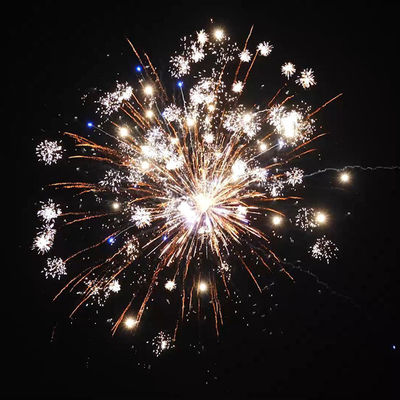 Vente en gros de Pyro 1000G en plein air Feux d'artifice de gâteau 2 pouces 56 tirs Fête de mariage 1.4 Pro Feux d'artifice