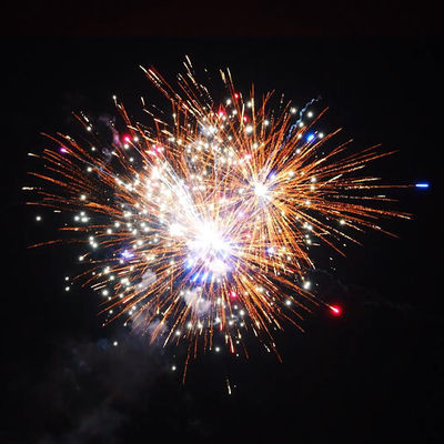 1.4 Pro Line Feux d'artifice 1000g 226 Shots Salutes gâteau Pyrotechnique pour Noël et célébration de mariage