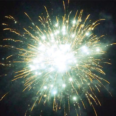 2025 Cage d'exportation de haute qualité Feux d'artifice Pyrotechnique 500G 20 coups de feu Bon effet Feux d'artifice extérieurs Cage pour la célébration