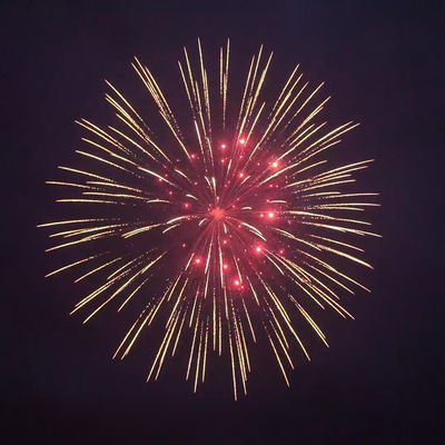 Des feux d'artifice Mandarin 2025 usine chinoise Liuyang Pyrotechnics Display Shell Fireworks 8 pouces 1.3G Professional Shell Fireworks