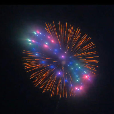 1.3g feu d'artifice professionnel affichage 2025 Mandarin professionnel pyrotechnique 3 4 5 6 8 10 pouces affichage Shell feu d'artifice