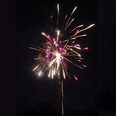Les feux d'artifice chinois à bas prix Liuyang 100 coups 1.4G Les feux d'artifice de gâteau de consommation importent des feux d'artifice de Chine