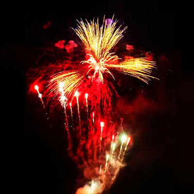 Des feux d'artifice personnalisés pour la célébration de l'année 2025 à Liuyang