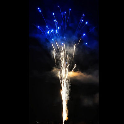 Fabrique chinoise en gros Feux d'artifice bleus personnalisés Pyrotechnique 100 tirs 1.4G Consommateur Hurlement du loup gâteau Feux d'artifice pour la fête