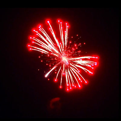 Liuyang Mandarin 1.3g Un0335 Fireworks 4'' Inch Display Shells Firework Professional Pyrotechnics Shell Balls Pour Vente