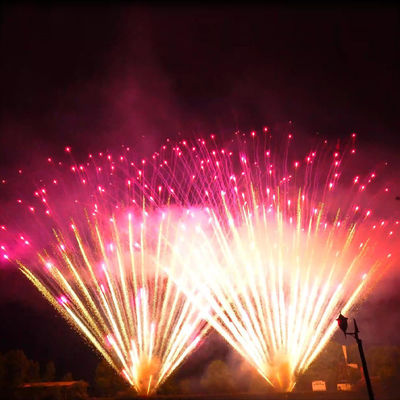Liuyang Mandarin énorme pyrotechnique 0,8 pouces 300 coups de feu Perles violettes de saule d'or 1,3 g Un0335 Professionnel gros gâteau de feux d'artifice