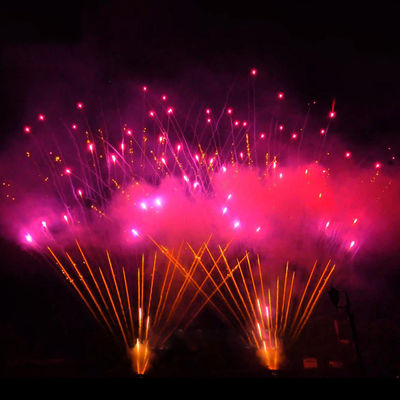 Chinois Mandarin Feux d'artifice extérieur 1,3g Pyrotechnique 0,8'' 300 Shots plus grand Feux d'artifice professionnel Feux d'artifice gâteau