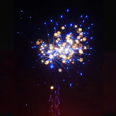 Feu d'artifice personnalisé 1.4g d'usine chinoise Liuyang 1.2'' pouces Mignon Chrysanthème Nouveaux feux d'artifice de gâteau de consommation Pyrotechnie de mariage