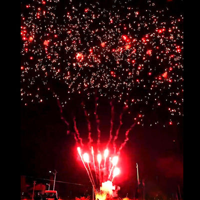 Feux d'artifice Liuyang Mandarin New Hot Fireworks 56 coups Salut Extérieur Gâteaux Batteries Prune Rouge Feux d'artifice Pyrotechnie