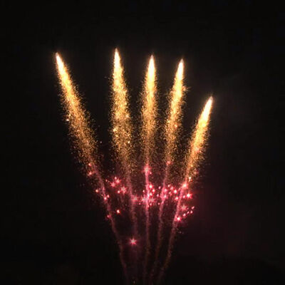 Liuyang 1.3g Un0335 Pyrotechnics Fireworks 1.2 Inch 25 Shots Professional Display Fireworks Cake For Party Wedding Festival