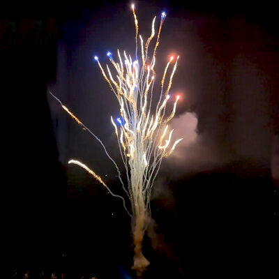 Chinois usine personnalisée 100 coups de feu Loup hurle gâteau Feux d'artifice en gros Pyrotechnique Nouveau Feux d'artifice Pour le Nouvel An Noël Fête de mariage