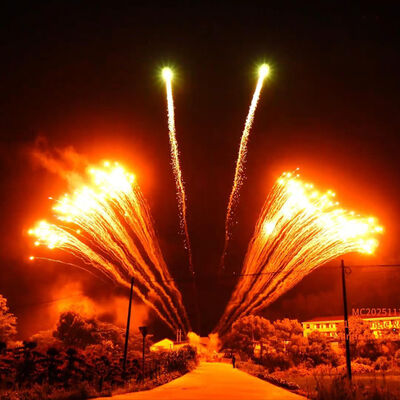 Fabrique Liuyang 1.3G Professionnel 12 tirs Feux d'artifice en rangée unique Affichage de feux d'artifice en gros chinois Festival de nouveaux feux d'artifice pyrotechnique