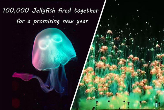 Feux d'artifice Skyshots de Toy Firework Jellyfish Consumer Novelty de nouvelle année pyrotechnique
