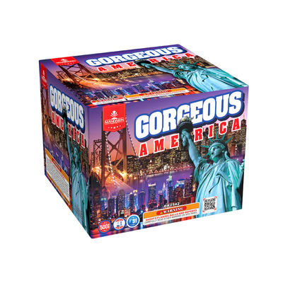 Tirs de haute qualité 500G de Liuyang les 9 petits ou le grand feu de gâteau fonctionne le salut de feu d'artifice