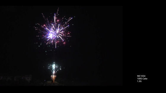 Les tirs du professionnel 100 de mandarine saluent la pyrotechnie