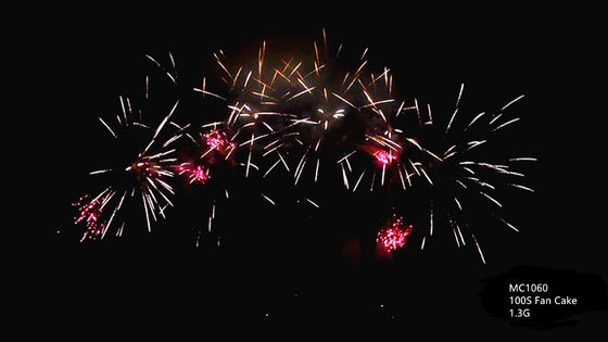 Feux d'artifice professionnels de gâteau de salut de pyrotechnie 100 tirs