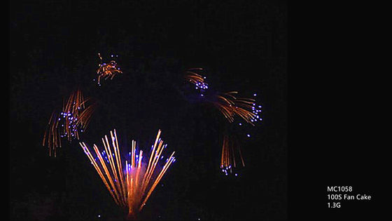 CE 100 150 300 500 600 1000 feux d'artifice professionnels de gâteau de tirs personnalisables