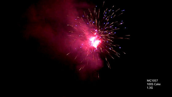 Feux d'artifice professionnels de pyrotechnie de tirs d'OEM 100