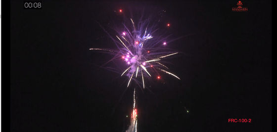Le CE a marqué les 100 feux d'artifice extérieurs de gâteau du consommateur de tirs pour la célébration d'anniversaire