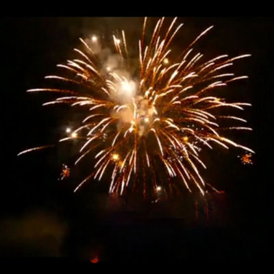 Tir classique extérieur chinois pyrotechnique fait sur commande des feux d'artifice 16 de gâteau
